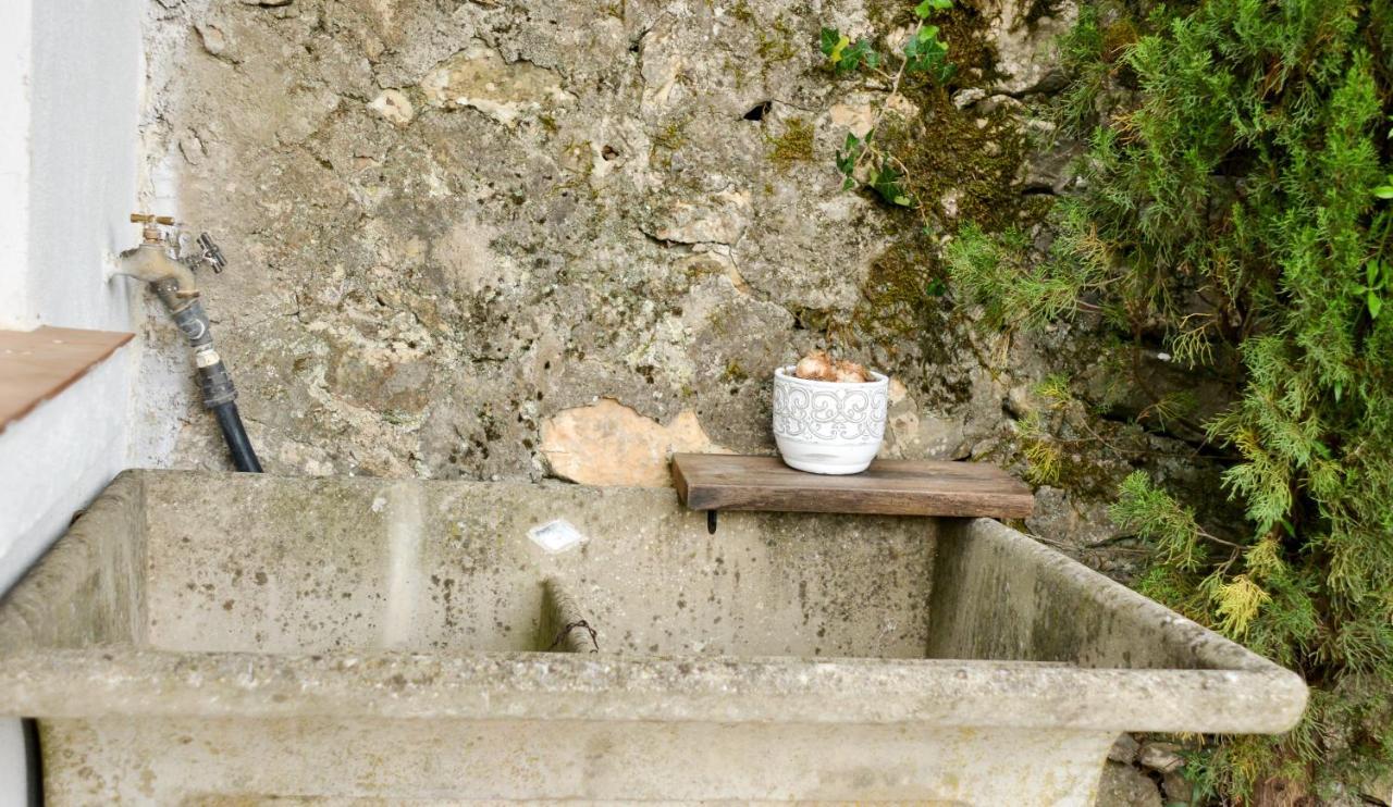 La Marroniere Villa Brignoles Ngoại thất bức ảnh