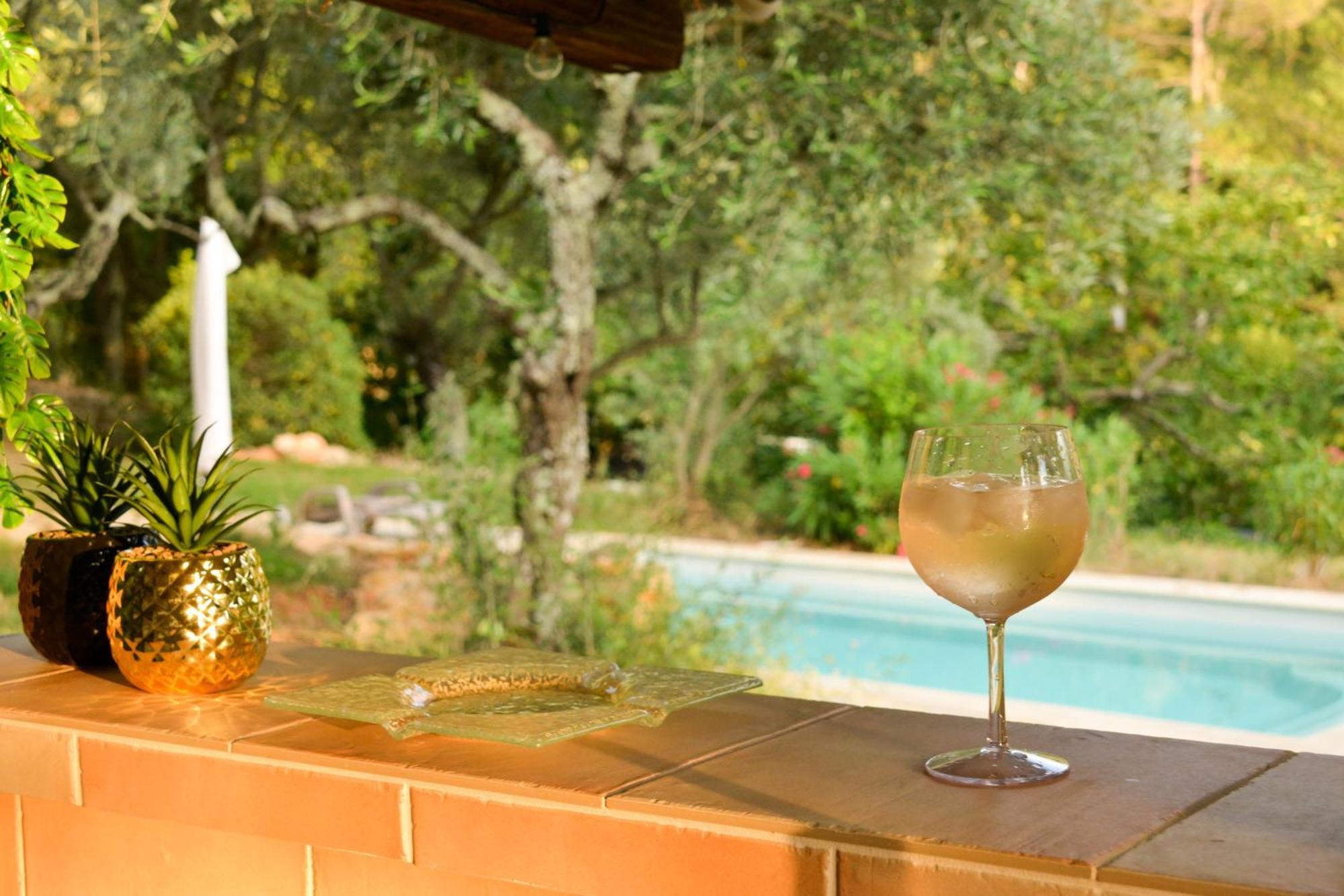 La Marroniere Villa Brignoles Ngoại thất bức ảnh